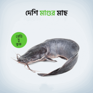 Deshi Magur Fish Whole (দেশি মাগুর মাছ)