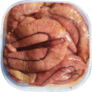 Hilsha Fish Eggs (ইলিশ মাছেরর ডিম)