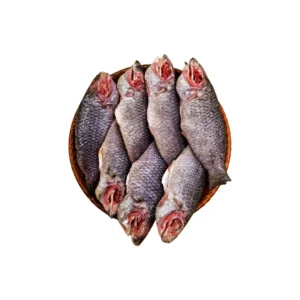 Fresh Koi Fish Whole ( দেশি কৈ মাছ)