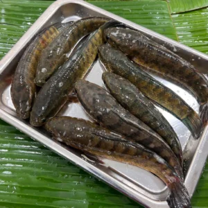 Deshi Taki Fish Whole (দেশি টাকি মাছ)