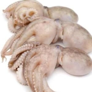 Octopus Whole (অক্টোপাস (আস্ত))